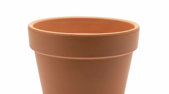 Simple terracotta pot on white, showing a clean design