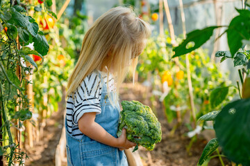 Little child girl keeps a broccoli crop in the garden, healthy eating