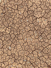 Cracked Earth Texture