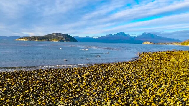The Beagle Strait. Autumn. Tierra del Fuego. Argentina. 