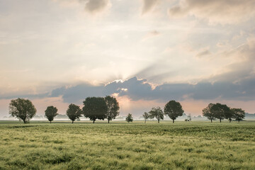 morgendliche Lichtstimmung über einem Weizenfeld mit etwas Nebel © Jan Rzaczek