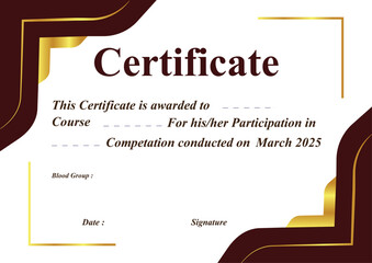 Elegant certificate of participation awarded for course completion with decorative borders and gold accents