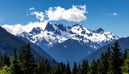 Fototapeta premium Snowy mountain peaks visible between tall, green trees under a vibrant blue sky with fluffy white clouds