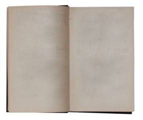 Blank Page for Writing and Creativity