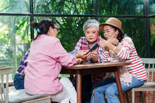 Group of senior Asian women sitting together cafe using smartphone concentrating serious discussion casual colorful clothing indoor greenery friendship leisure retirement lifestyle conversation - Powered by Adobe