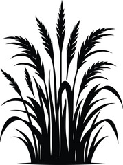 Tall kans grass silhouette vector illustration isolated on a white background