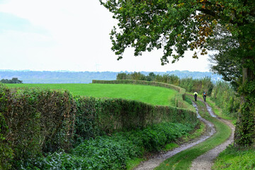 A winding, damp rural path lined by hedges and green fields with distant cyclists.