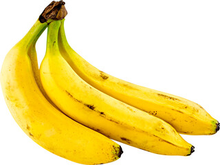 A bunch of ripe yellow bananas clustered together on a plain black background on transparent background