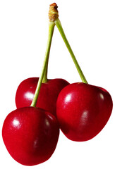 A close up of three red cherries hanging with green stems on a black background on transparent background