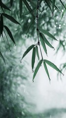 Bamboo leaves hang on lush green branches in the drizzle with water droplets falling and mist in front of them against a light gray background