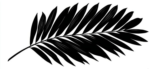 Fototapeta premium Black Silhouette of a Tropical Palm Leaf Against a White Background for Stylish Design Usage