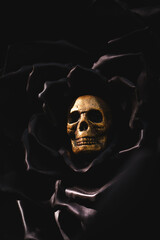 Dark Beauty and Death - Golden Skull in Black Bloom