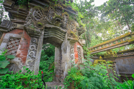 Large archway with a lot of moss growing on it