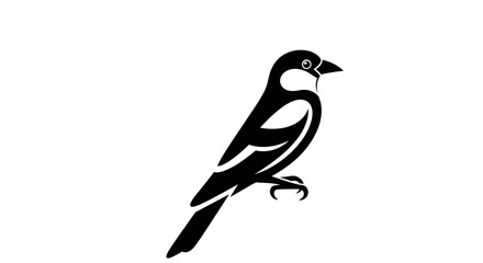 Elegant Black and White Bird Illustration on White Background.