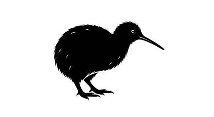 Kiwi bird silhouette illustration isolated on a white background.