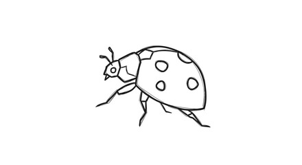 Ladybug Illustration with Spots on White Background.