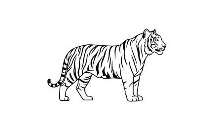 Naklejka premium Majestic Tiger Illustration Standing Proudly on White Background.