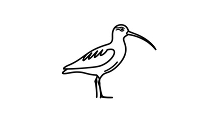 Minimalist Line Drawing of a Curlew Bird Standing.
