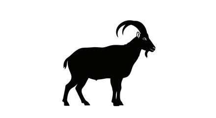 Silhouette of a Majestic Ibex with Curved Horns.