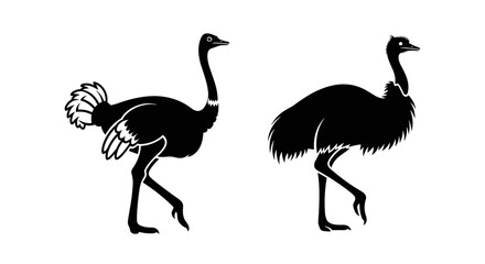 Two Black Silhouette Ostriches Standing Side by Side.