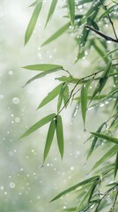 A close up of bamboo leaves with water droplets set against an ethereal misty forest backdrop with light green background creating a serene atmosphere