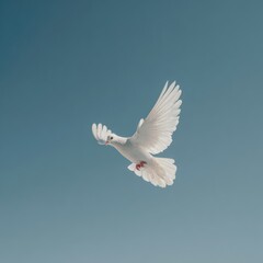 Serene White Bird in Flight Against a Clear Blue Sky Capturing a Moment of Freedom and Peace