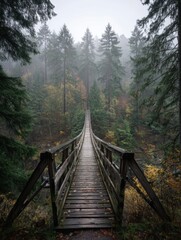 Serene Wooden Bridge in Misty Forest Surrounded by Tall Trees and Autumn Foliage