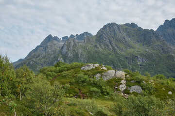 Mountain landscape with rocks and forest