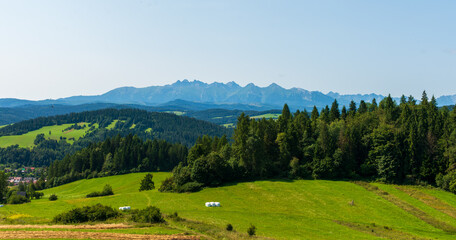 Obraz premium Scenic view of rolling green meadows and dark forests leading toward a distant mountain ridge under clear blue sky. The calm landscape reflects harmony and the beauty of untouched nature.