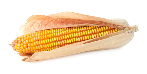 Fresh yellow corn cob isolated on white