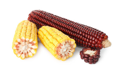 Fresh red and yellow corn cobs isolated on white