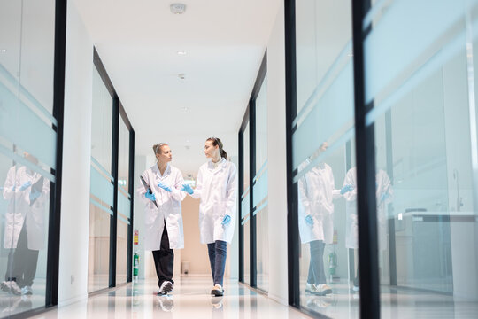 Two researchers walking together in a modern hospital corridor discuss about work