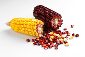 Red and yellow corn cobs with kernels on white background, closeup