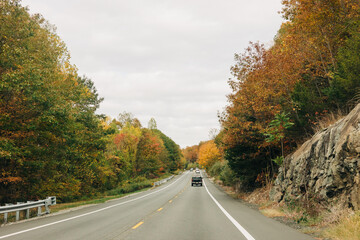 Scenic drive through colorful autumn trees along a winding highway