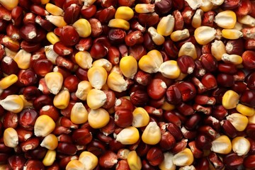Kernels of red and yellow corn as background, top view