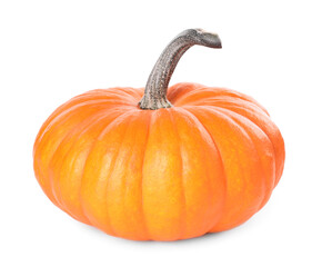 One whole ripe pumpkin isolated on white