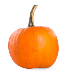 One whole ripe pumpkin isolated on white
