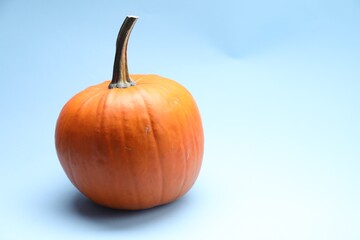 Whole ripe pumpkin on light blue background. Space for text