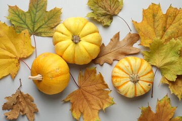 Dry autumn leaves and pumpkins on white background, flat lay