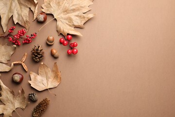 Dry autumn leaves, chestnuts, red berries, pine cones and acorns on dark beige background, flat lay. Space for text