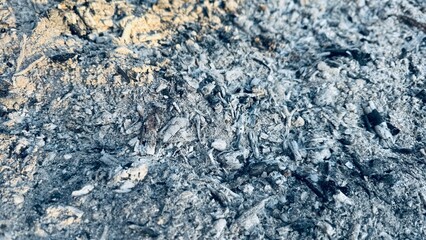 Burnt Wood and Ashes – Detailed View of Charcoal Remains After Fire