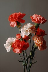 Obraz premium Beautiful Arrangement of Red and Pink Carnations on Neutral Background, Floral Composition