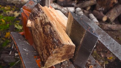 Close up view of a pine tree timber log being split into pieces and half by a wood splitter or splitting machine in autumn nature outdoors. Shallow depth of field, bokeh background, slow motion.
