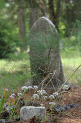 Flowers at Historic Cemetery in Rural East TX Troup City Cemetery