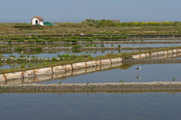 Salt pans and stilts in Aveiro Portugal