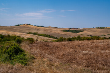 Fototapeta premium Golden Summer Hills with Clear Blue Sky