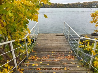 A rustic wooden pier covered with vibrant yellow and brown autumn leaves leads into a calm, grey...