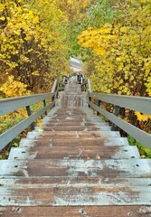 A long, weathered wooden staircase descends steeply through a vibrant autumn forest, its steps scattered with golden yellow leaves. Concept of an autumn descent.