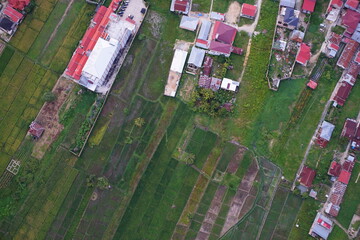 Fototapeta premium Aerial view of flooded rice fields, irrigation canals, and expanding urban settlements in Sungai Penuh, Jambi, Indonesia. Showing urban sprawl, farmland conversion, and environmental landscape.