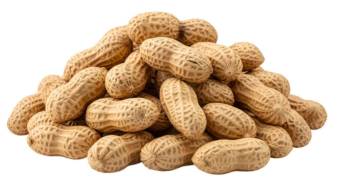 Pile of Peanuts in Shells on Black Background